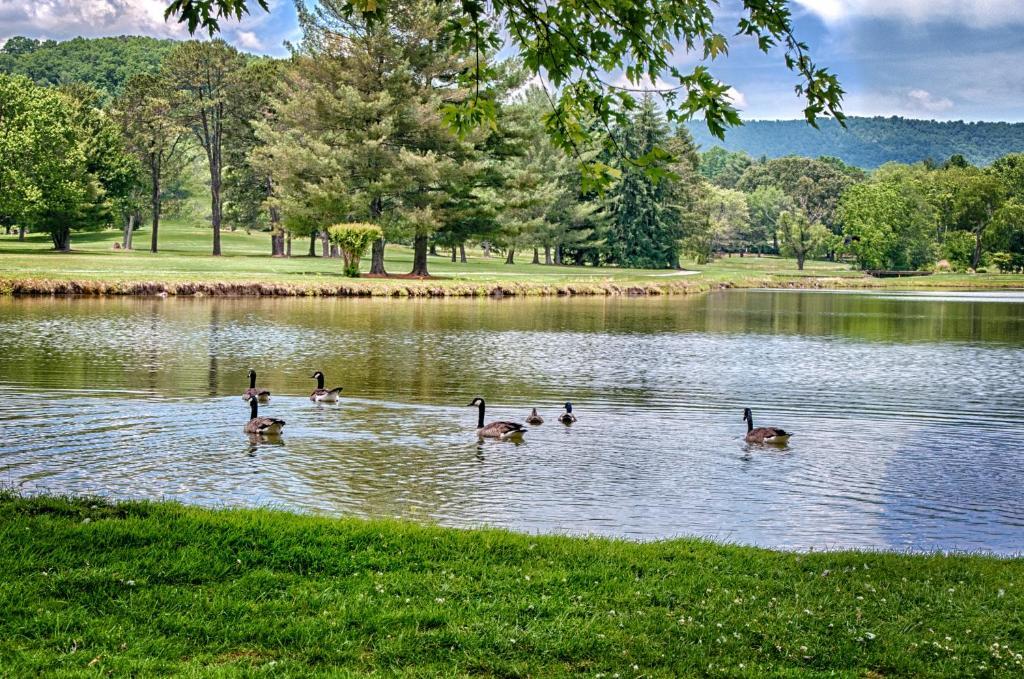 Etowah Valley Golf & Resort Kültér fotó